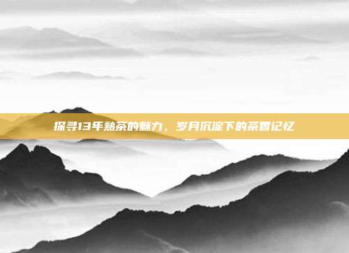 探寻13年熟茶的魅力，岁月沉淀下的茶香记忆