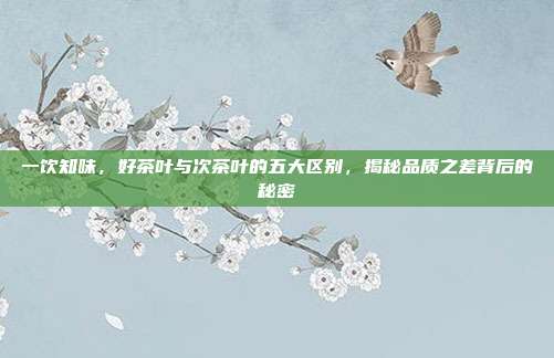 一饮知味，好茶叶与次茶叶的五大区别，揭秘品质之差背后的秘密