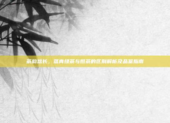 茶韵悠长，蒸青绿茶与煎茶的区别解析及品鉴指南
