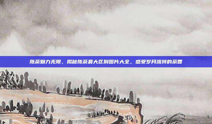 陈茶魅力无限，揭秘陈茶最大区别图片大全，感受岁月流转的茶香