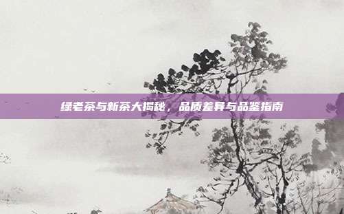 绿老茶与新茶大揭秘，品质差异与品鉴指南