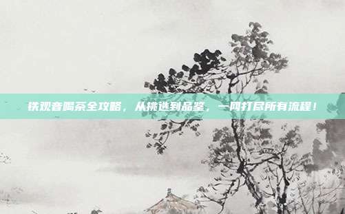 铁观音喝茶全攻略，从挑选到品鉴，一网打尽所有流程！