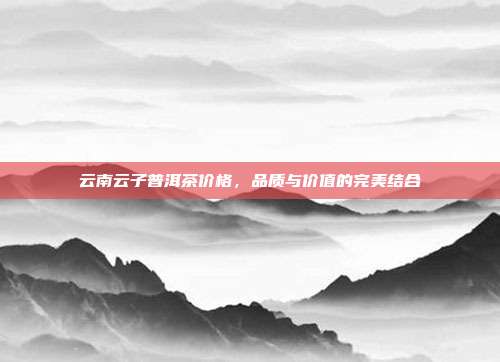 云南云子普洱茶价格，品质与价值的完美结合