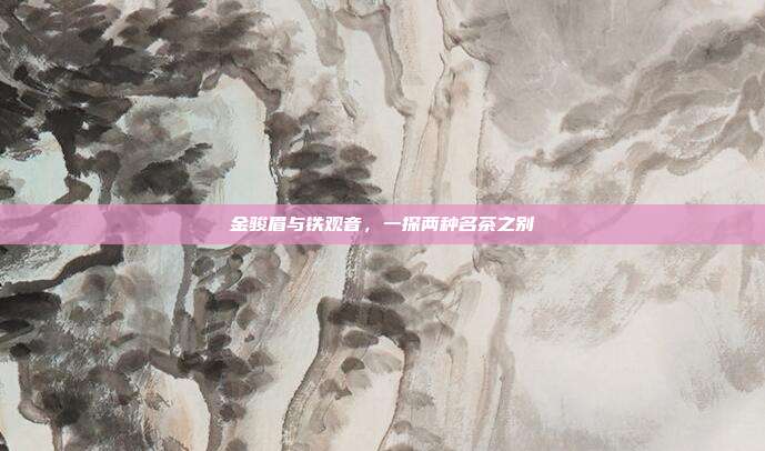 金骏眉与铁观音，一探两种名茶之别
