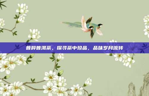 普粹普洱茶，探寻茶中珍品，品味岁月流转