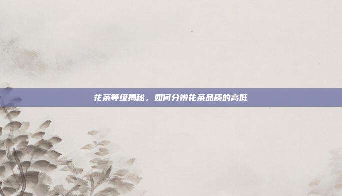 花茶等级揭秘，如何分辨花茶品质的高低