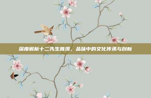 深度解析十二先生普洱，品味中的文化传承与创新