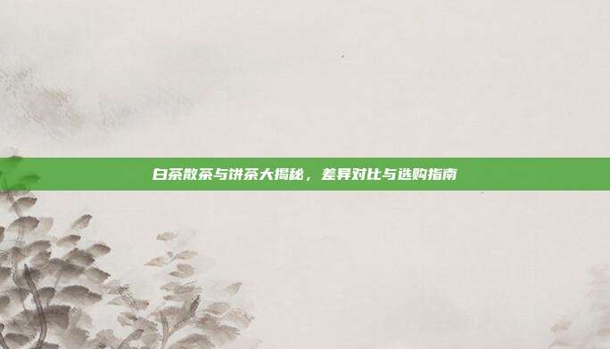 白茶散茶与饼茶大揭秘，差异对比与选购指南
