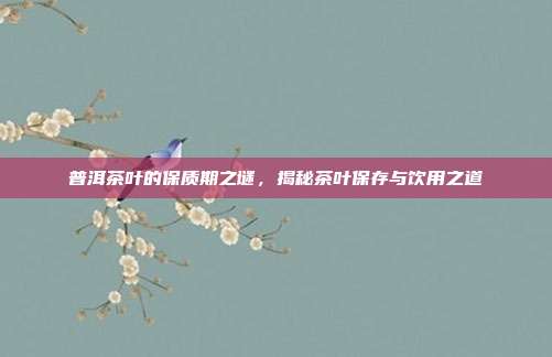 普洱茶叶的保质期之谜，揭秘茶叶保存与饮用之道