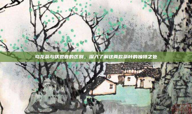 乌龙茶与铁观音的区别，深入了解这两款茶叶的独特之处