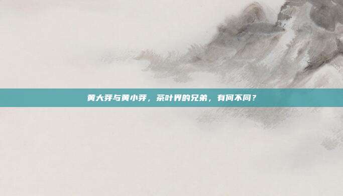 黄大芽与黄小芽，茶叶界的兄弟，有何不同？