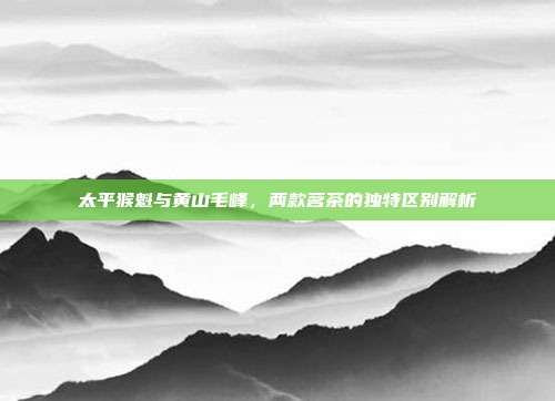 太平猴魁与黄山毛峰，两款茗茶的独特区别解析