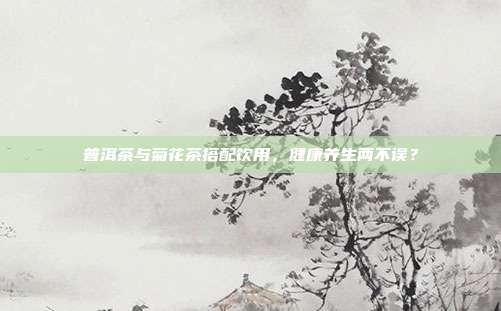 普洱茶与菊花茶搭配饮用，健康养生两不误？