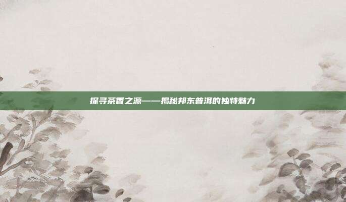 探寻茶香之源——揭秘邦东普洱的独特魅力