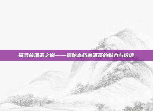 探寻普洱茶之巅——揭秘高档普洱茶的魅力与价值