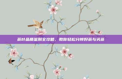 茶叶品质鉴别全攻略，教你轻松分辨好茶与劣茶