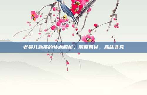 老曼儿熟茶的特点解析，醇厚回甘，品味非凡