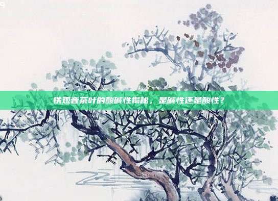 铁观音茶叶的酸碱性揭秘，是碱性还是酸性？