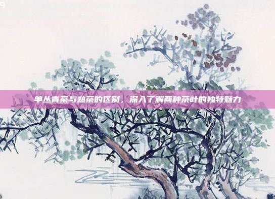 单丛青茶与熟茶的区别，深入了解两种茶叶的独特魅力