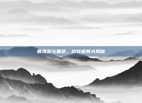 普洱茶与黑茶，功效差异大揭秘