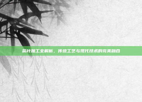 茶叶加工全解析，传统工艺与现代技术的完美融合