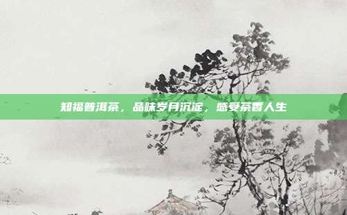 知福普洱茶，品味岁月沉淀，感受茶香人生