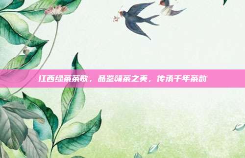 江西绿茶茶歌，品鉴赣茶之美，传承千年茶韵