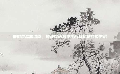 普洱茶品鉴指南，传统喝法与现代创新相结合的艺术