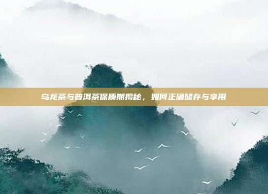 乌龙茶与普洱茶保质期揭秘，如何正确储存与享用