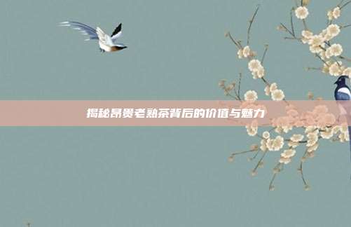 揭秘昂贵老熟茶背后的价值与魅力