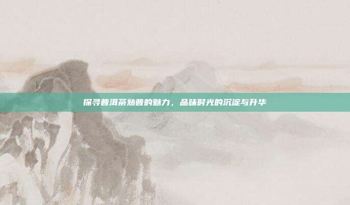 探寻普洱茶熟普的魅力，品味时光的沉淀与升华