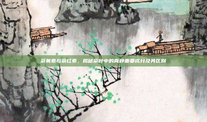 茶黄素与茶红素，揭秘茶叶中的两种重要成分及其区别