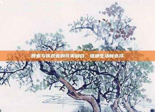 酵素与铁观音的完美融合，健康生活新选择