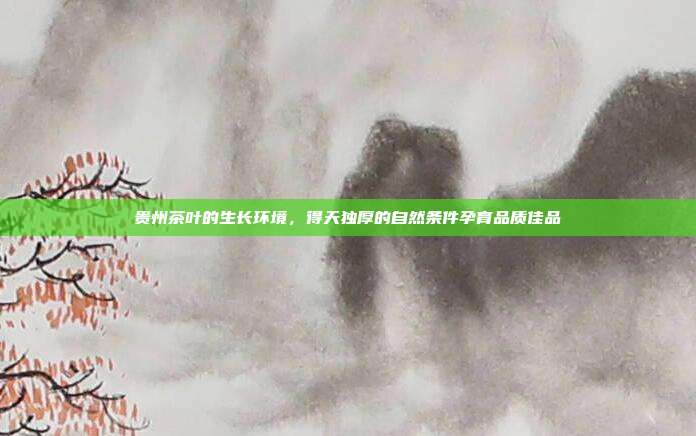 贵州茶叶的生长环境，得天独厚的自然条件孕育品质佳品