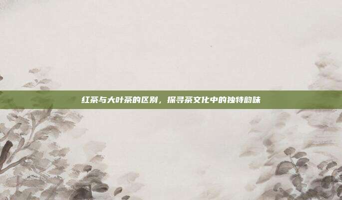 红茶与大叶茶的区别，探寻茶文化中的独特韵味
