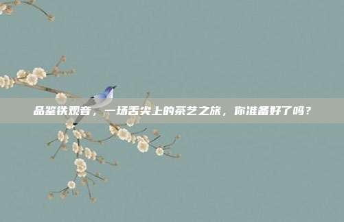 品鉴铁观音，一场舌尖上的茶艺之旅，你准备好了吗？