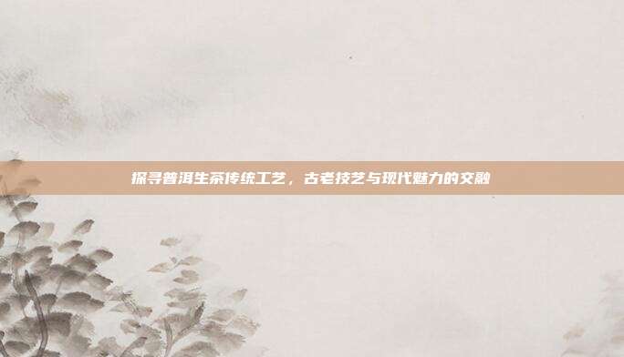 探寻普洱生茶传统工艺，古老技艺与现代魅力的交融
