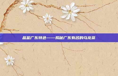 品鉴广东特色——揭秘广东有名的乌龙茶