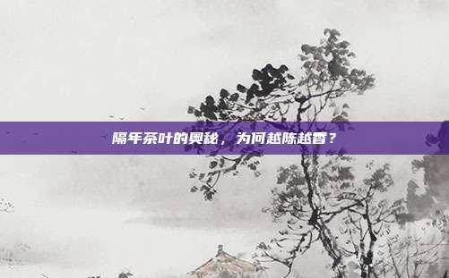 隔年茶叶的奥秘，为何越陈越香？