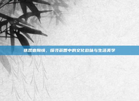 铁观音陶情，探寻茶香中的文化韵味与生活美学