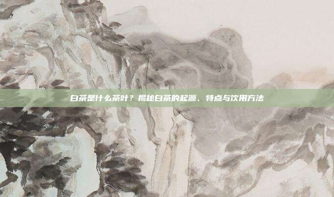 白茶是什么茶叶？揭秘白茶的起源、特点与饮用方法