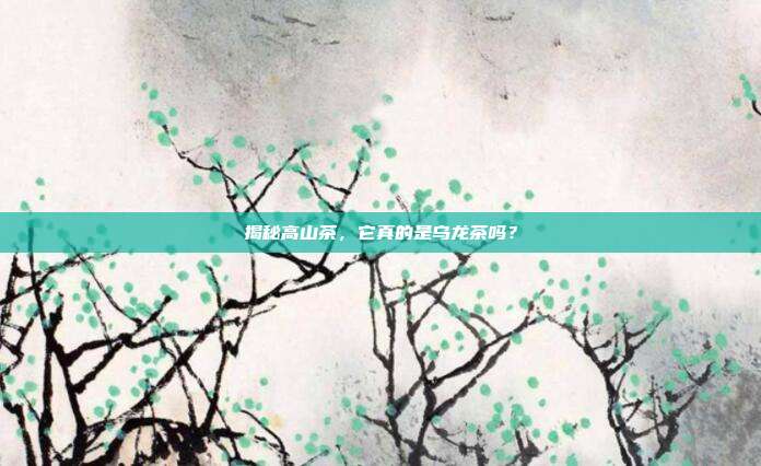 揭秘高山茶，它真的是乌龙茶吗？