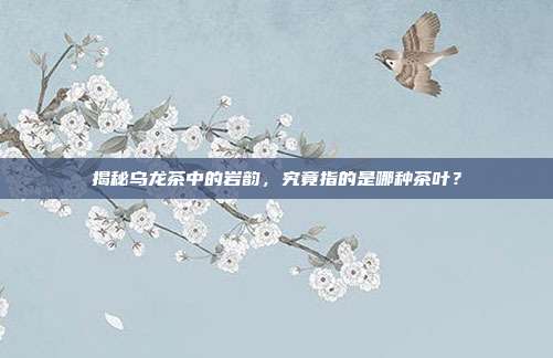 揭秘乌龙茶中的岩韵，究竟指的是哪种茶叶？