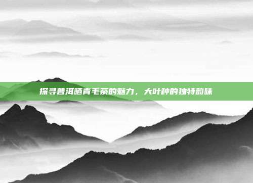 探寻普洱晒青毛茶的魅力，大叶种的独特韵味