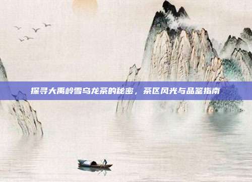 探寻大禹岭雪乌龙茶的秘密，茶区风光与品鉴指南