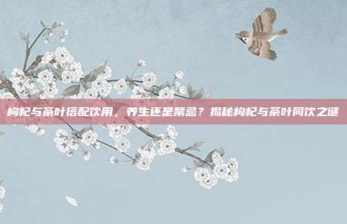 枸杞与茶叶搭配饮用，养生还是禁忌？揭秘枸杞与茶叶同饮之谜