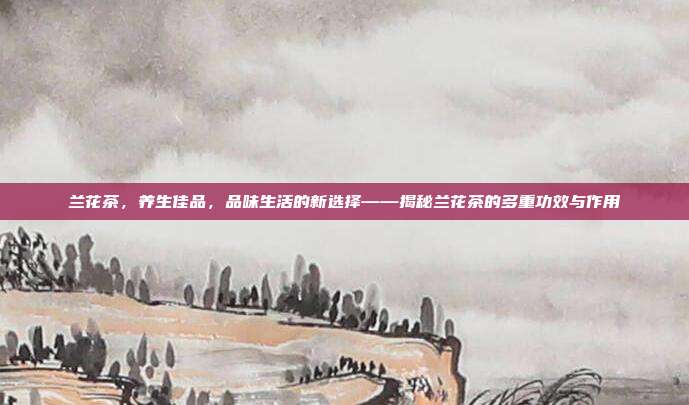 兰花茶，养生佳品，品味生活的新选择——揭秘兰花茶的多重功效与作用