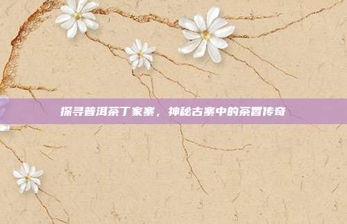 探寻普洱茶丁家寨，神秘古寨中的茶香传奇