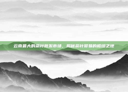 云南最大的茶叶批发市场，揭秘茶叶贸易的枢纽之地