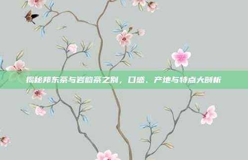 揭秘邦东茶与岩韵茶之别，口感、产地与特点大剖析